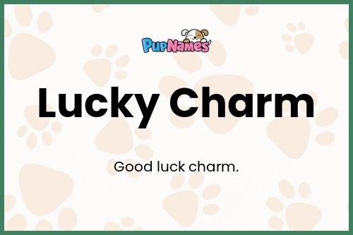 Lucky Charm dog name meaning