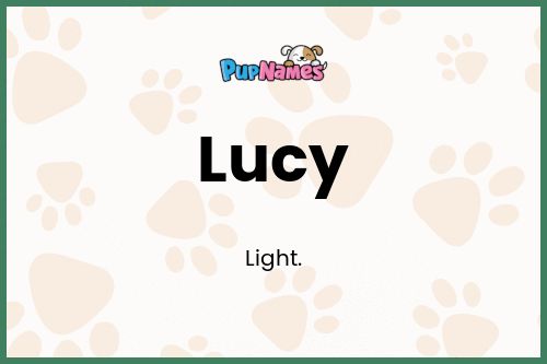 Lucy dog name meaning