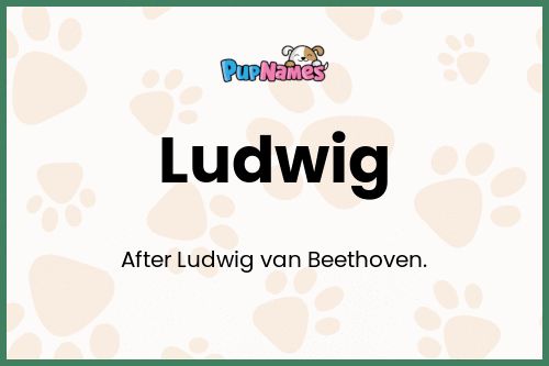 Ludwig dog name meaning