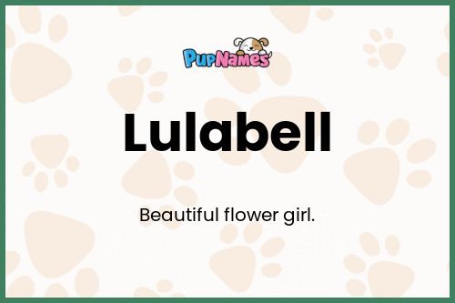 Lulabell dog name meaning