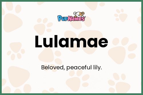 Lulamae dog name meaning