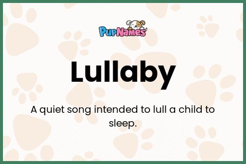 Lullaby dog name meaning