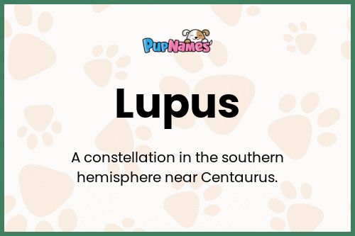 Lupus dog name meaning