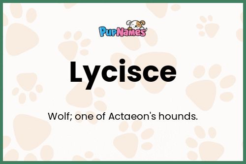 Lycisce dog name meaning