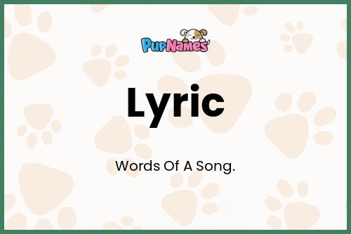 Lyric dog name meaning