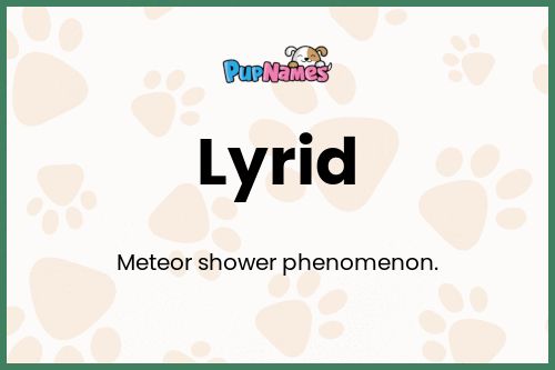 Lyrid dog name meaning