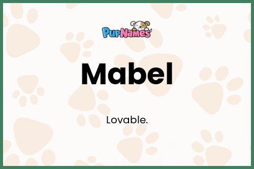 Mabel dog name meaning