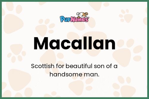 Macallan dog name meaning