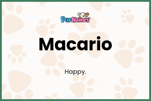 Macario dog name meaning
