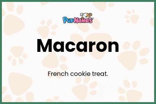 Macaron dog name meaning