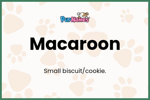 Macaroon dog name meaning