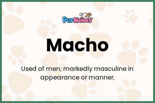 Macho dog name meaning