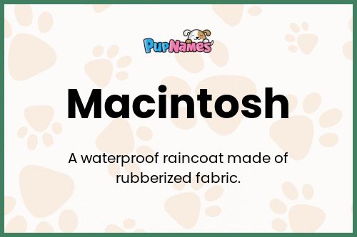 Macintosh dog name meaning