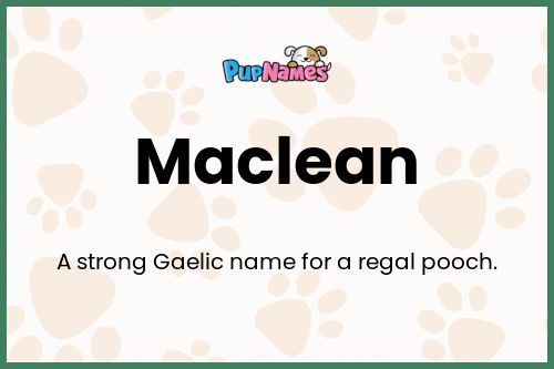 Maclean dog name meaning