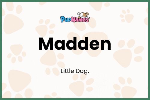 Madden dog name meaning
