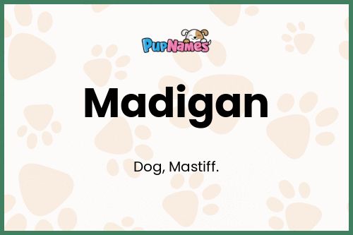 Madigan dog name meaning