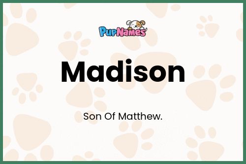 Madison dog name meaning