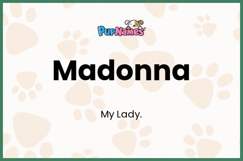 Madonna dog name meaning