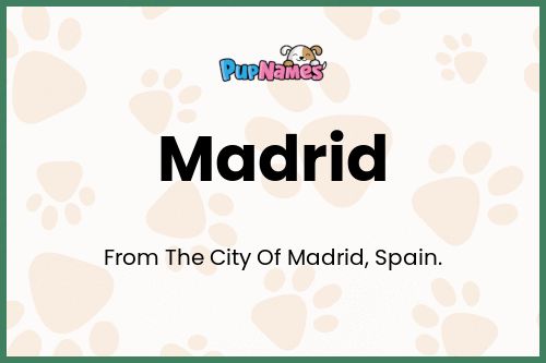 Madrid dog name meaning