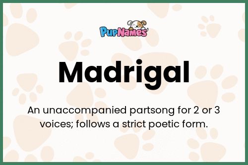 Madrigal dog name meaning