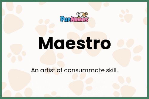 Maestro dog name meaning