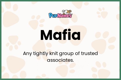 Mafia dog name meaning