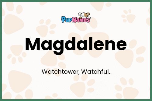 Magdalene dog name meaning