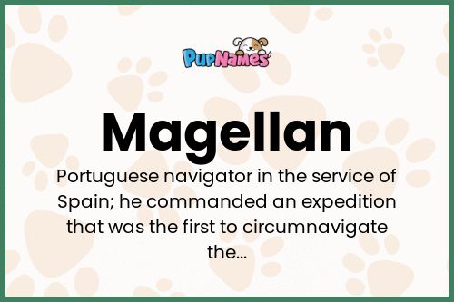 Magellan dog name meaning