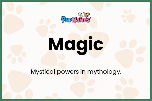 Magic dog name meaning