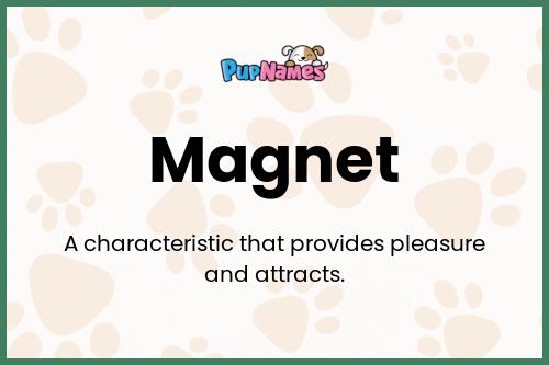 Magnet dog name meaning