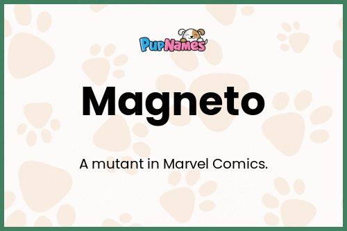 Magneto dog name meaning