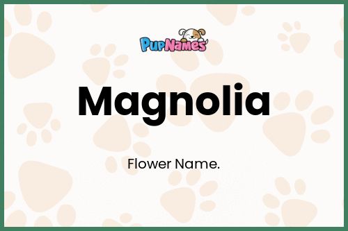 Magnolia dog name meaning