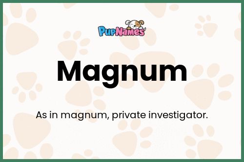 Magnum dog name meaning