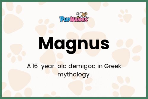 Magnus dog name meaning