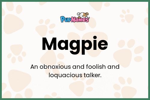 Magpie dog name meaning