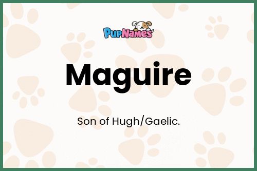 Maguire dog name meaning