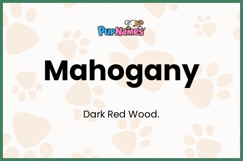 Mahogany dog name meaning