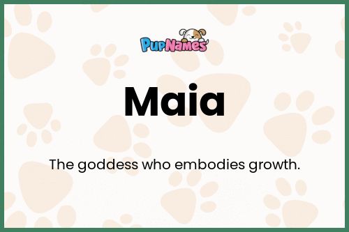 Maia dog name meaning