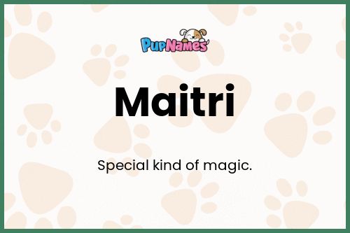 Maitri dog name meaning