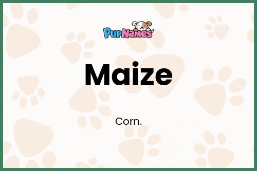 Maize dog name meaning