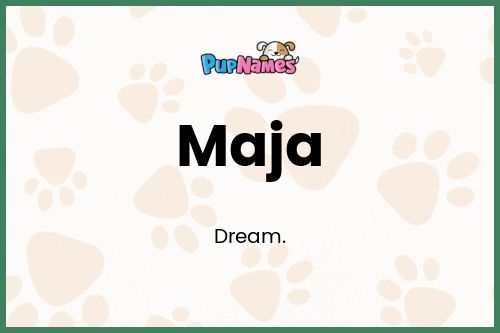 Maja dog name meaning