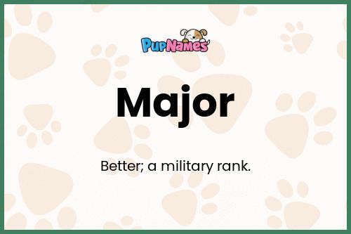 Major dog name meaning