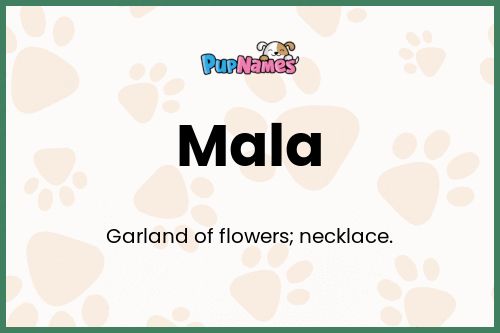 Mala dog name meaning