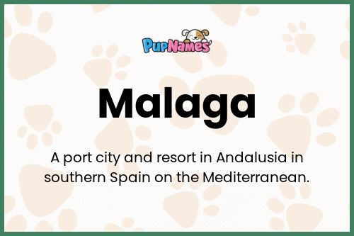 Malaga dog name meaning