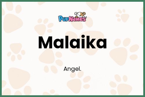 Malaika dog name meaning