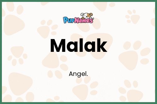 Malak dog name meaning