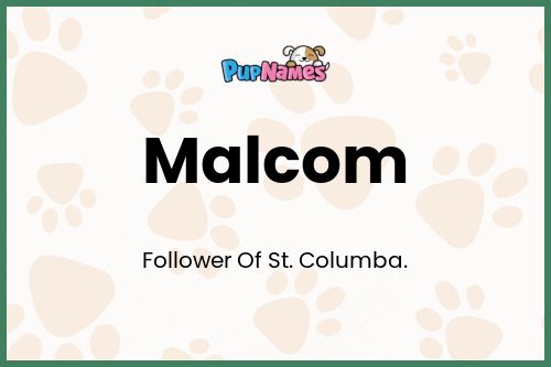 Malcom dog name meaning