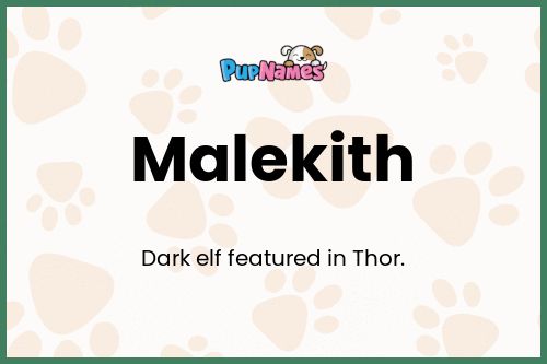 Malekith dog name meaning