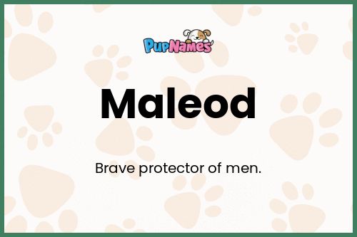 Maleod dog name meaning