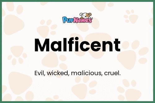 Malficent dog name meaning